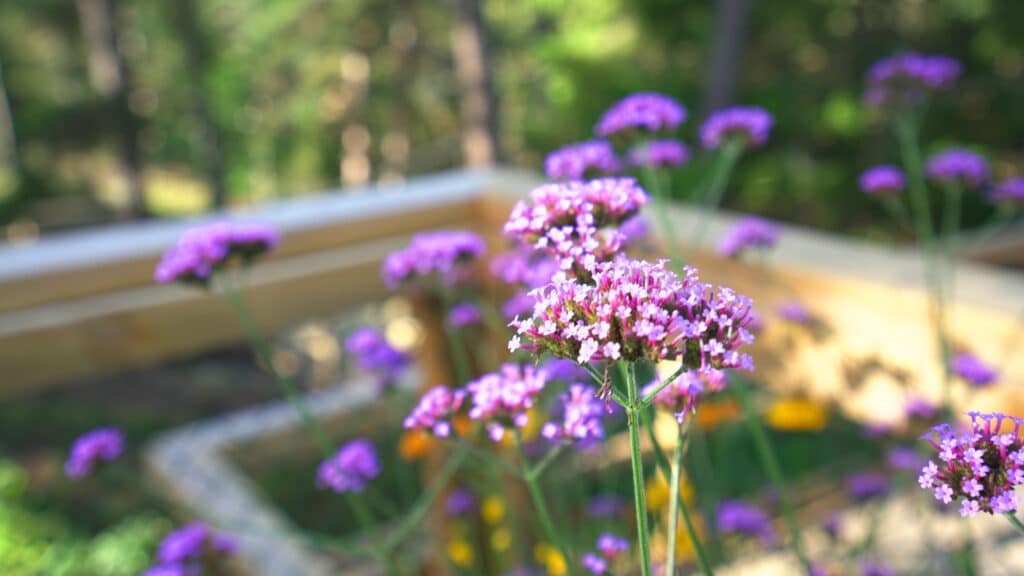 SVPH - Seniorboende i Bromma och Fredhäll i Stockholm - Nyheter